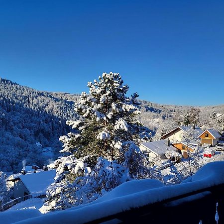 Grosse Ferienwohnung In Ruhiger Lage Mit Toller Aussicht In Triberg Triberg im Schwarzwald Εξωτερικό φωτογραφία