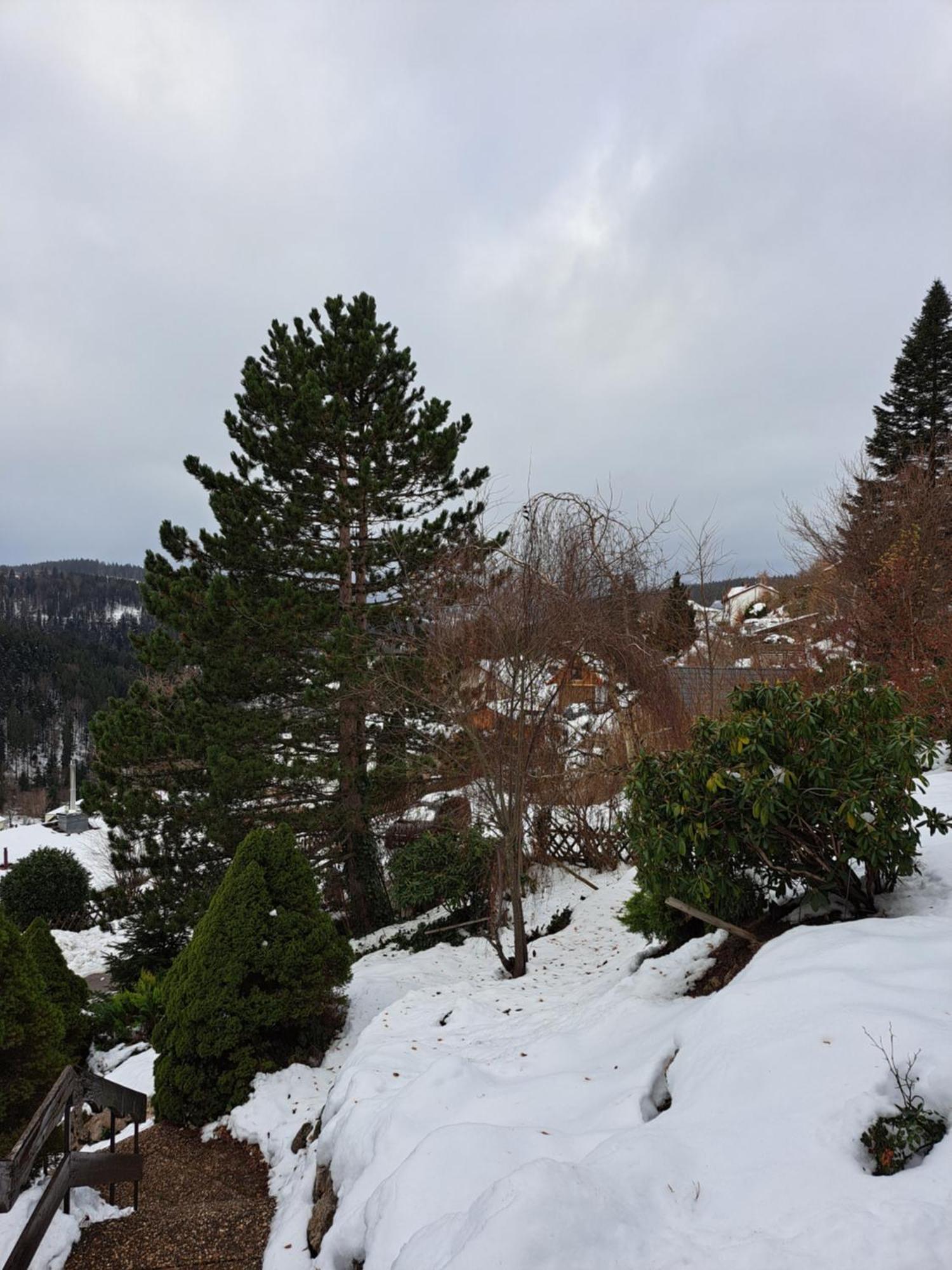Grosse Ferienwohnung In Ruhiger Lage Mit Toller Aussicht In Triberg Triberg im Schwarzwald Εξωτερικό φωτογραφία