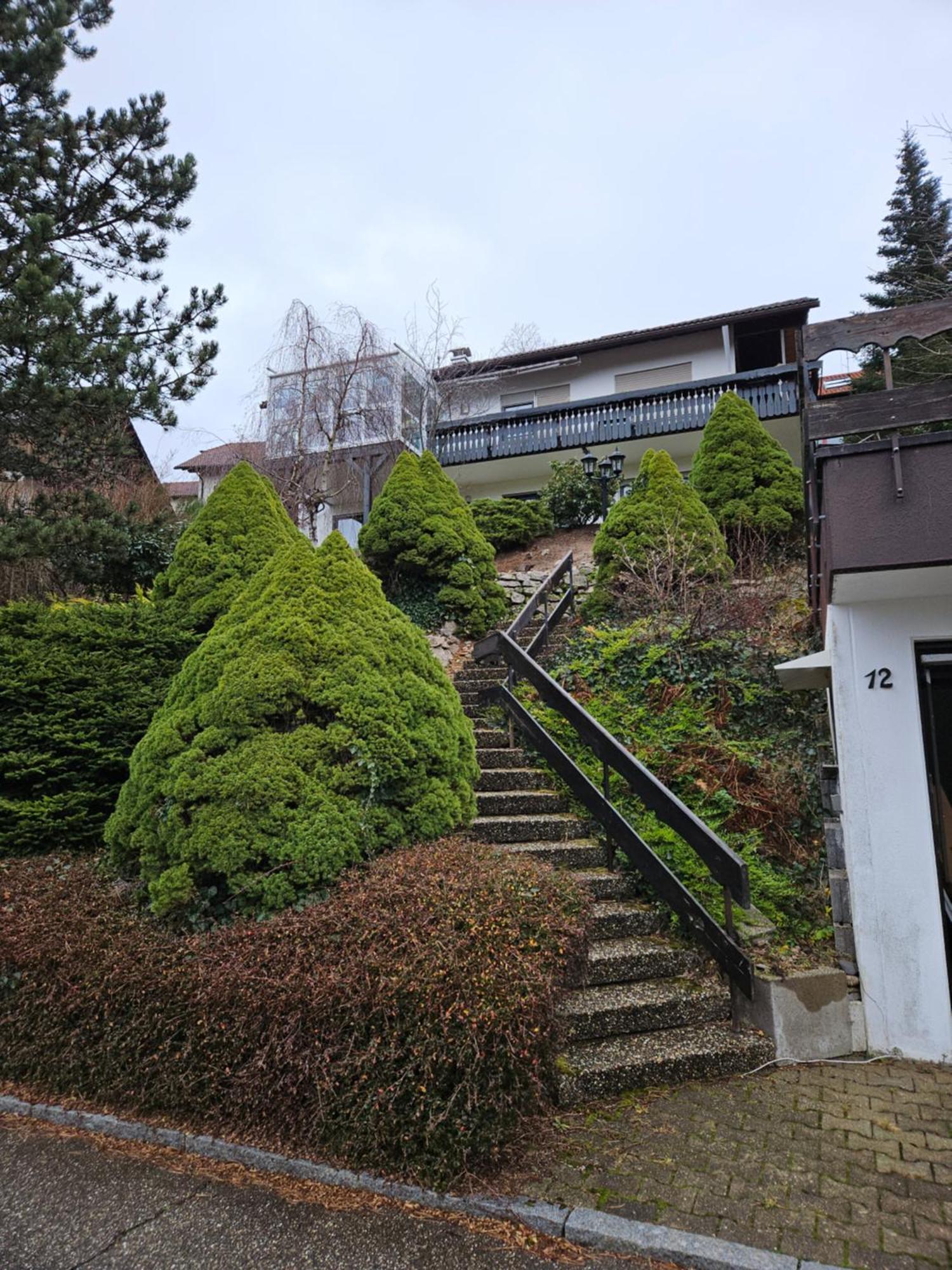 Grosse Ferienwohnung In Ruhiger Lage Mit Toller Aussicht In Triberg Triberg im Schwarzwald Εξωτερικό φωτογραφία