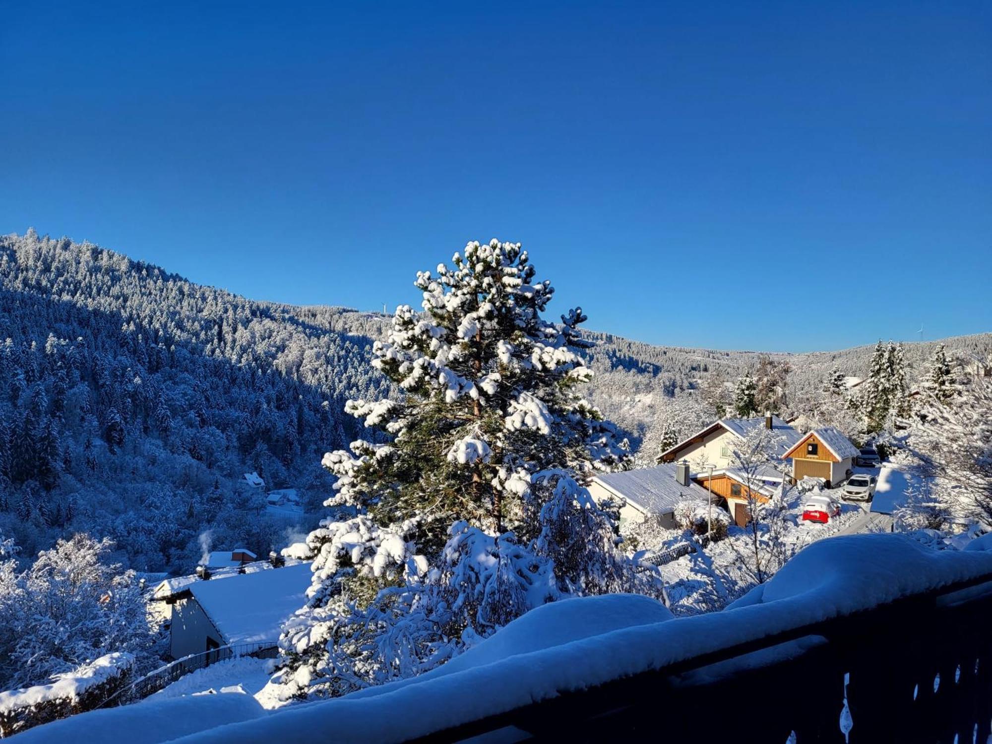 Grosse Ferienwohnung In Ruhiger Lage Mit Toller Aussicht In Triberg Triberg im Schwarzwald Εξωτερικό φωτογραφία